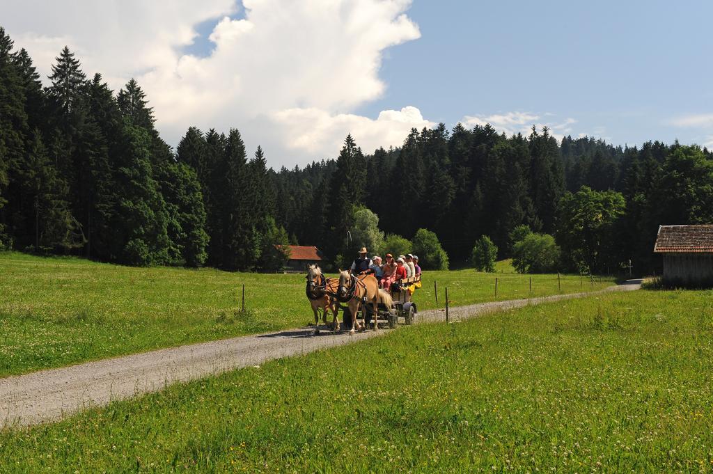 Hotel Bergblick Scheidegg Buitenkant foto